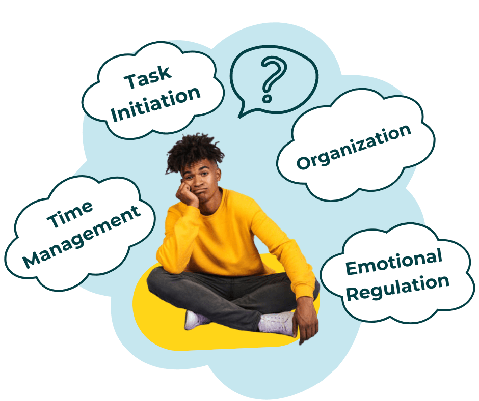 Executive Function Coaching For Elementary School Students - Premium Sunset Photo Gallery - HD